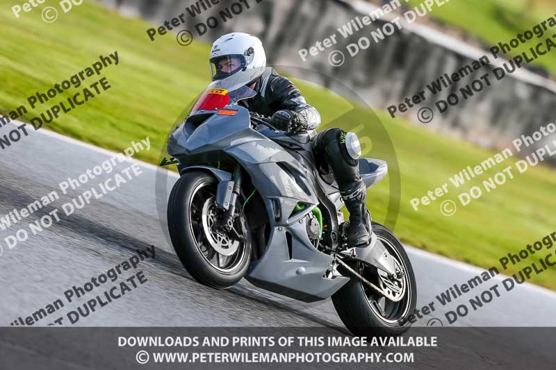 Oulton Park 14th March 2020;PJ Motorsport Photography 2020;anglesey;brands hatch;cadwell park;croft;donington park;enduro digital images;event digital images;eventdigitalimages;mallory;no limits;oulton park;peter wileman photography;racing digital images;silverstone;snetterton;trackday digital images;trackday photos;vmcc banbury run;welsh 2 day enduro